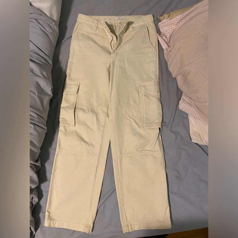 aritzia cargos